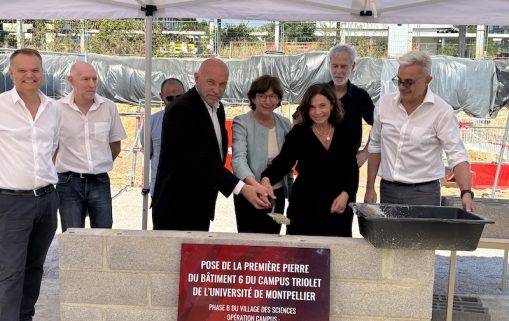 université montpellier triolet