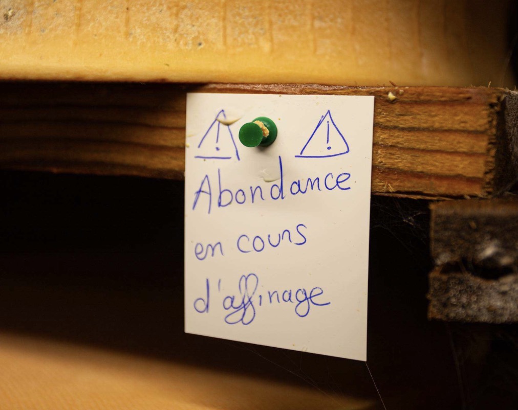 abondance6