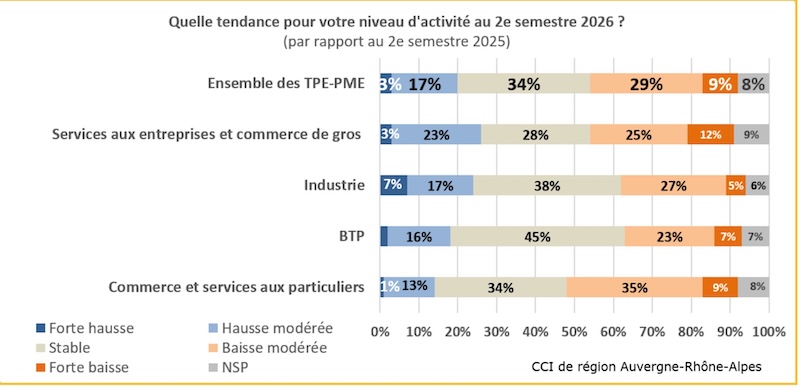 Activité industrie CCI aura
