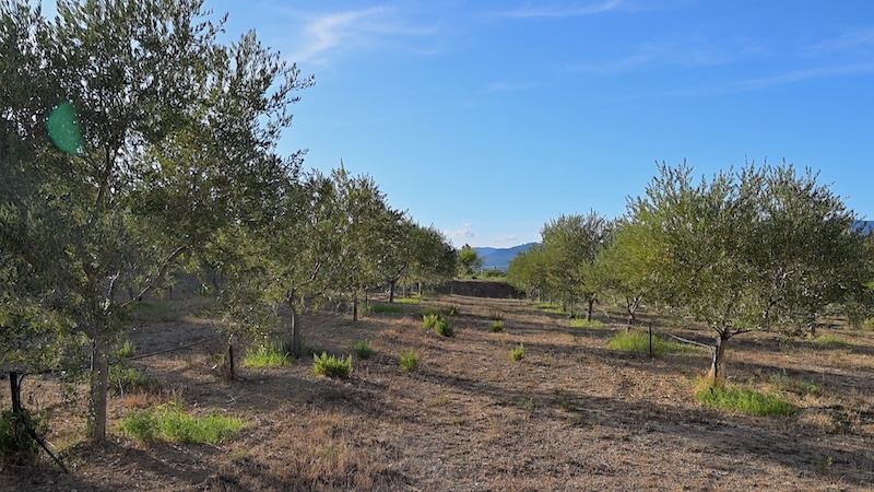 tourisme coeur herault 26 10