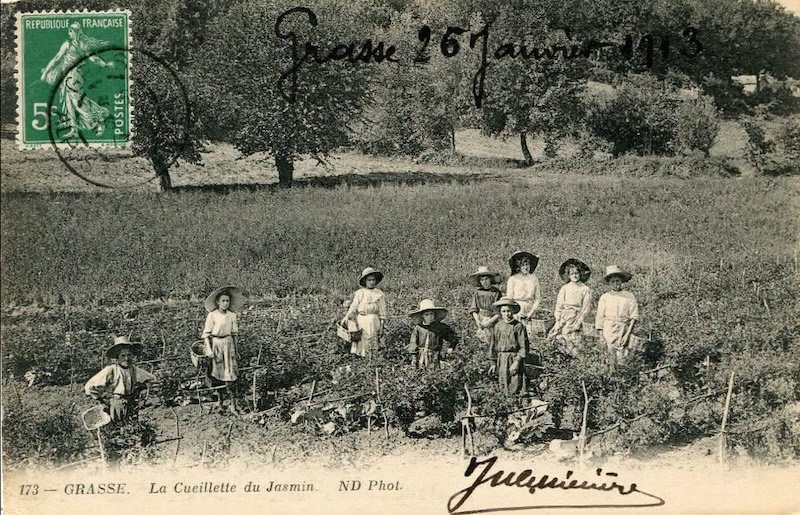 Parfums grasse patrimoine