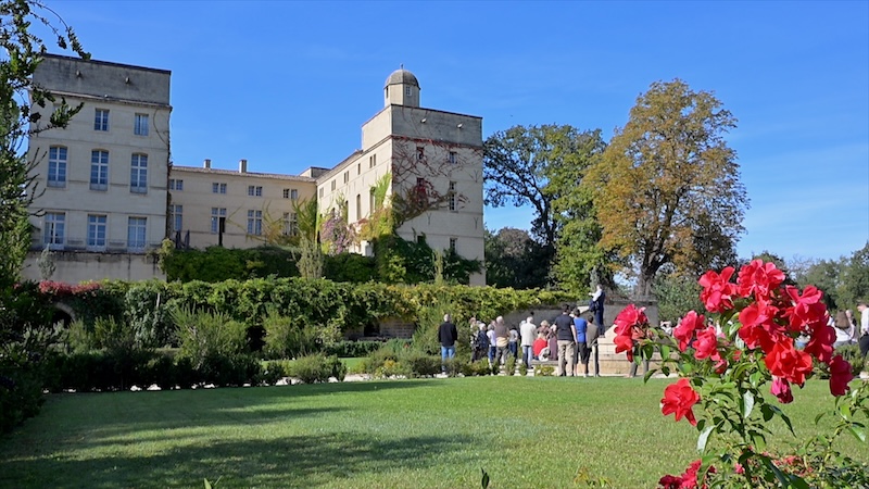 petr vignobles en fete5