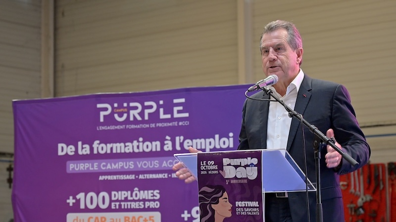 purple days 2026 11