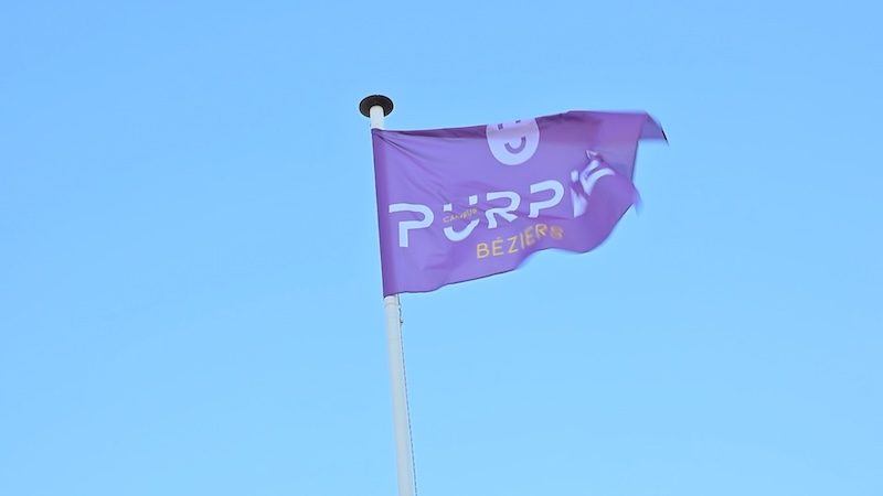 purple days 2026 2